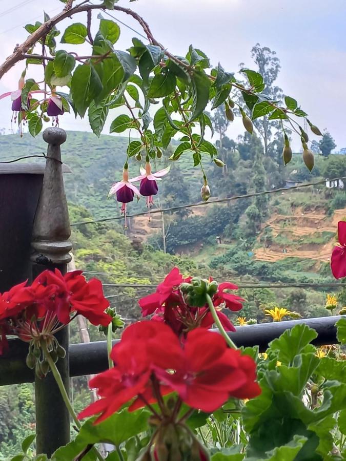 Lake Breeze Nuwara Eliya Exterior foto